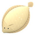 Thumbnail for version as of 14:55, 1 October 2026