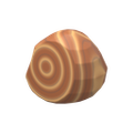 Thumbnail for version as of 14:51, 1 October 2026